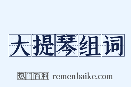 大提琴组词是什么意思的图片